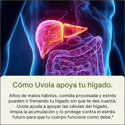 Uvola - Apoyo Con Cardo Mariano
