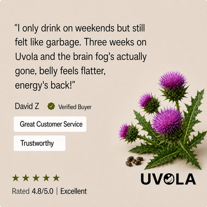 Uvola - Milk Thistle Support